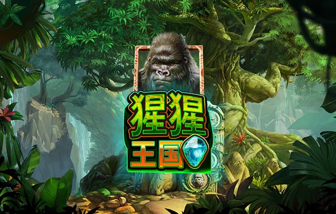 头头体育app下载